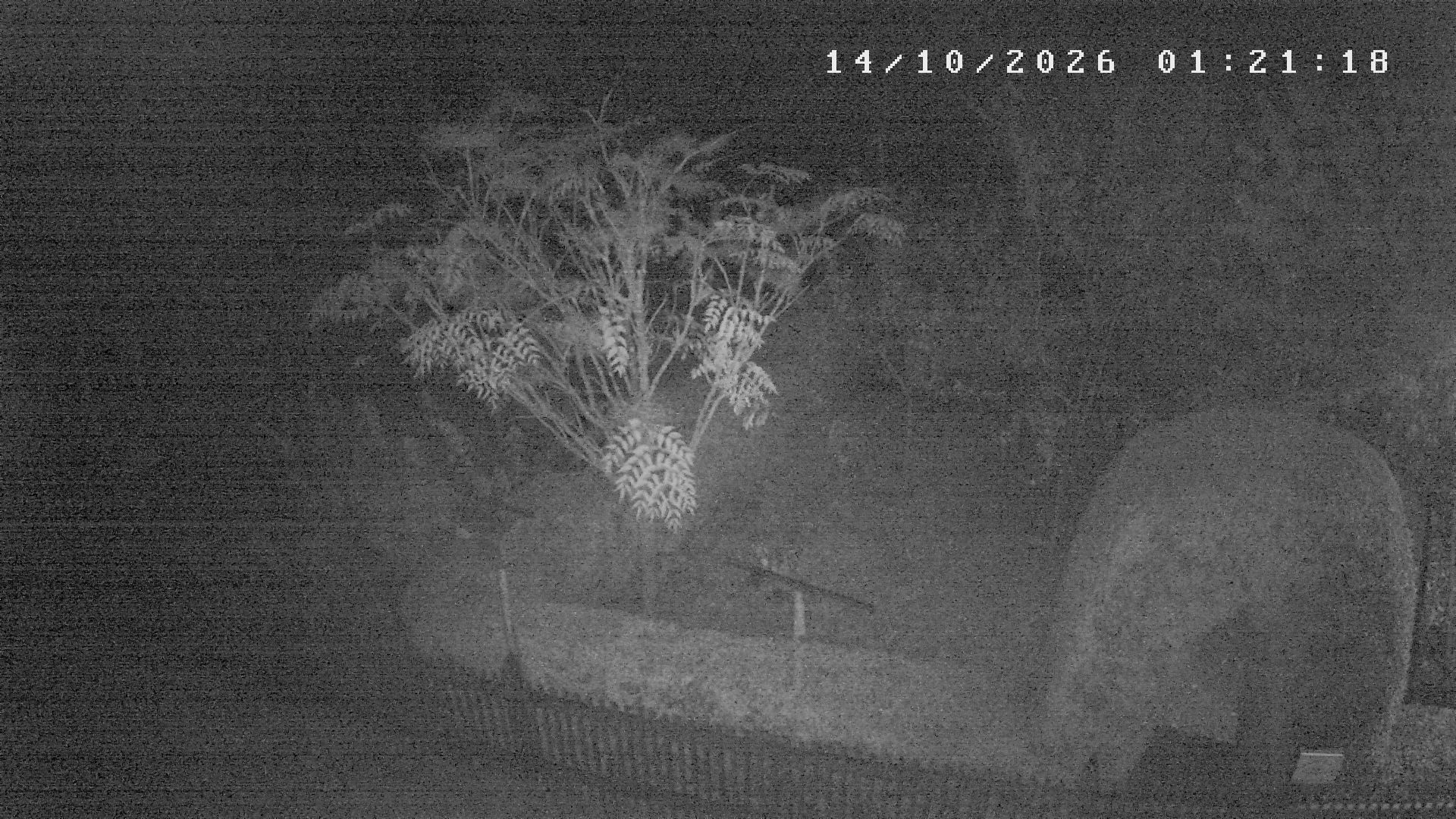 Webcam počasí Studnice,Nové Město na Moravě
