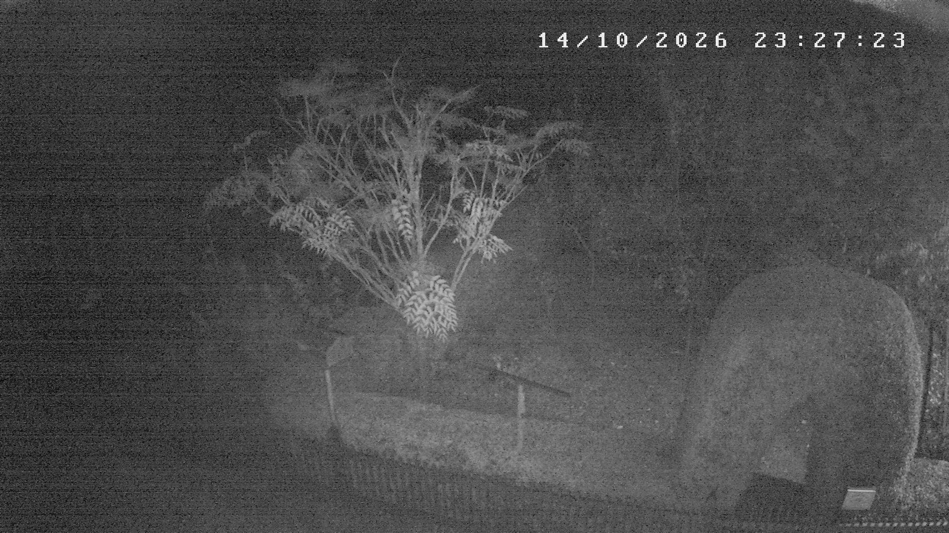 Webcam počasí Studnice,Nové Město na Moravě