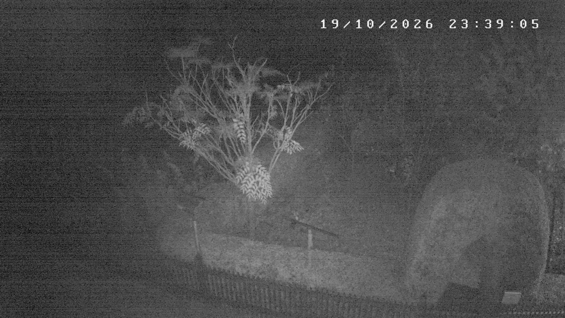 Webcam počasí Studnice,Nové Město na Moravě