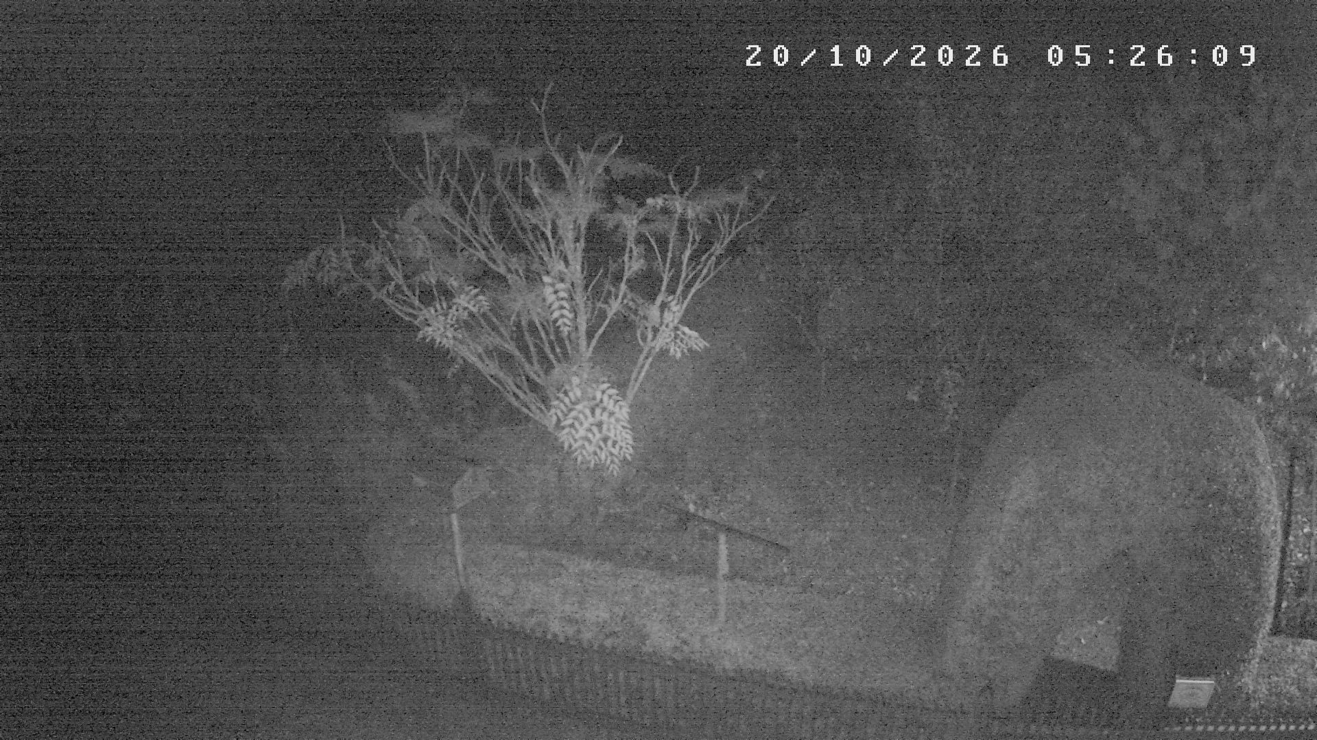 Webcam počasí Studnice,Nové Město na Moravě