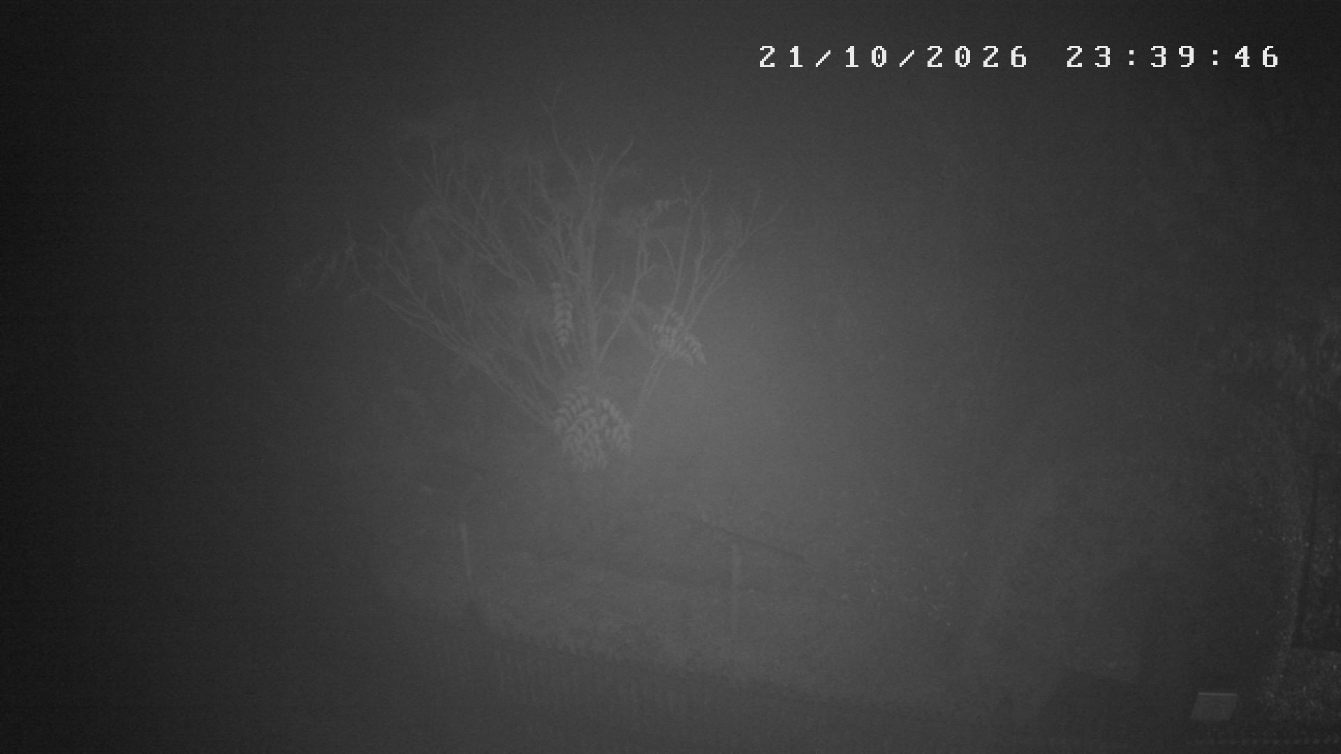 Webcam počasí Studnice,Nové Město na Moravě