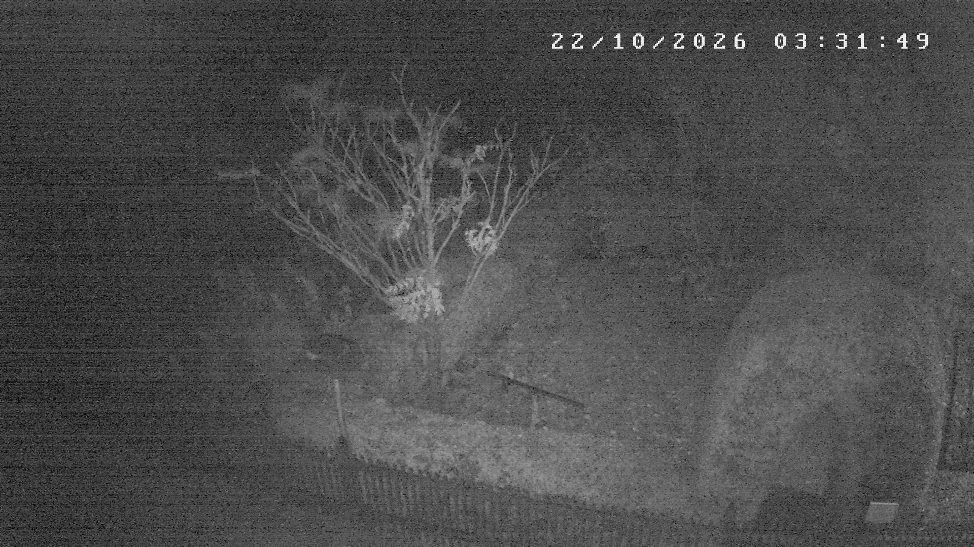 Webcam počasí Studnice,Nové Město na Moravě